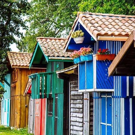 Au Coeur Du Bassin D'Arcachon,Tres Bel Appartement Avec Terrasse Оданж Екстериор снимка