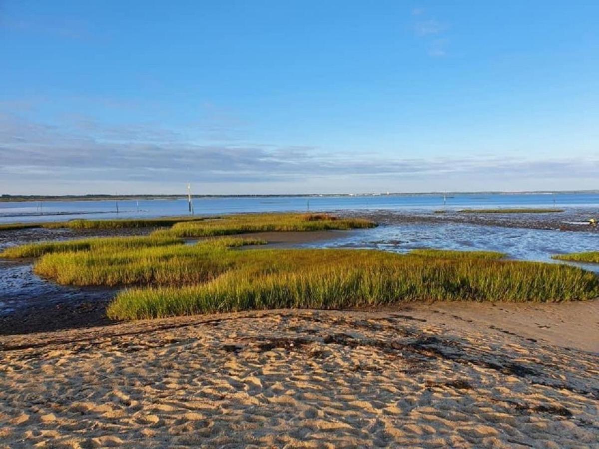 Au Coeur Du Bassin D'Arcachon,Tres Bel Appartement Avec Terrasse Оданж Екстериор снимка