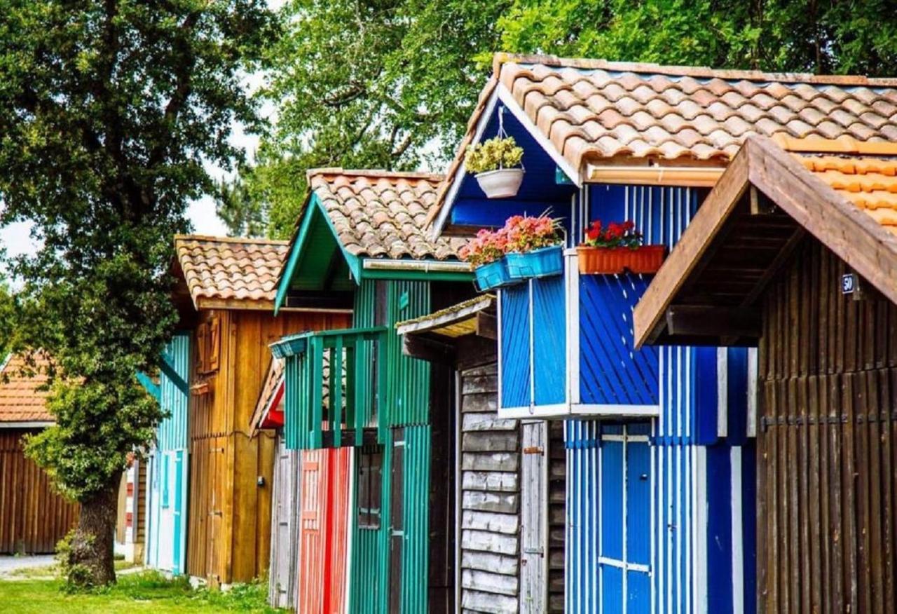 Au Coeur Du Bassin D'Arcachon,Tres Bel Appartement Avec Terrasse Оданж Екстериор снимка