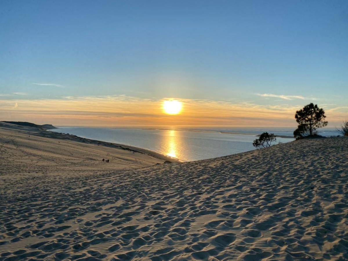 Au Coeur Du Bassin D'Arcachon,Tres Bel Appartement Avec Terrasse Оданж Екстериор снимка